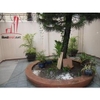 Cho thuê Villa quận Tân Bình, đường Lê Trung Nghĩa, phường 12, quận Tân Bình, Giá: 1600 USD