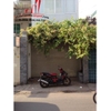 Cho thuê nhà nguyên căn mặt tiền đường  Nguyễn Trọng Tuyển, Phường 1, Tân Bình.