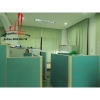 Cho thuê Villa Quận 2, khu Thảo Điền, giá 3000$
