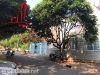 cho thuê biệt thự mặt tiền bờ sông phường trần não quận 2, giá cho thuê:2000$/tháng
