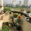 cho thuê căn hộ chung cư an hòa quận 2, giá 13,5tr/tháng