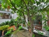 cho thuê villa quận tân bình  , khu sân bay đường sông thương giá 60tr/tháng