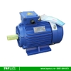 Động cơ điện Motor 3 Pha 1.5hp 1.1kw
