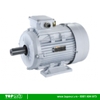Động cơ điện Motor Tua Chậm 4 cực 1500 rpm