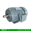 Động cơ điện Motor Tua Nhanh 2 cực 2900 rpm