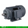 Động cơ điện Motor 3 Pha 4hp 3kw