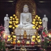 tràng phan bảo cái