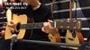 Đàn Guitar Martin D16RGT | Tân Nhạc Cụ Review