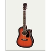 Đàn Guitar Acoustic Aria AWN 15CE