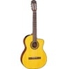 Đàn Guitar Classic Takamine GC3CE NAT