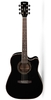 Đàn Guitar Acoustic Cort AD880CE