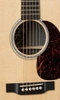 Đàn Guitar Acoustic Martin GPX1AE