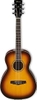 Đàn Guitar Acoustic Ibanez PN15