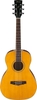 Đàn Guitar Acoustic Ibanez PN15