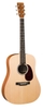 Đàn Guitar Acoustic Martin DX1KAE