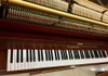 Đàn Piano Cơ Yamaha W102