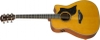 Đàn Guitar Acoustic Yamaha A5M