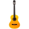 Đàn Guitar Classic Aria - Fiesta FST200