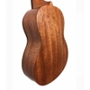 Đàn Ukulele R-10U