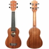 Đàn Ukulele R-10U