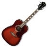 Đàn Guitar Acoustic Ibanez SGT120E