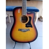 Đàn Guitar Acoustic Rosen R135