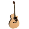 Đàn Guitar Acoustic Martin GPCPA4