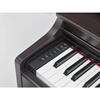 Đàn Piano Điện Yamaha YDP163R