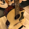 Đàn Guitar Acoustic Ba Đờn VE70