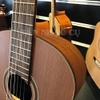 Đàn Guitar Classic Cordoba C3M