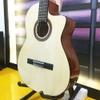 Đàn Guitar Cordoba C5CE SP