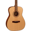 Đàn Guitar Acoustic Cort AF505