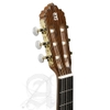 Đàn Guitar Classic Alhambra 6P