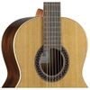 Đàn Guitar Classic Alhambra 1C EZ