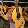 Đàn Guitar Cordoba C1M