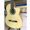 Đàn Guitar Cordoba C1MCE