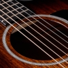 Đàn Guitar Taylor 224CE K DLX