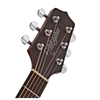 Đàn Guitar Takamine GD10CE Acoustic