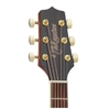 Đàn Guitar Takamine GD51 Acoustic Sunburst