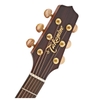 Đàn Guitar Takamine P3MC Acoustic Pro Series