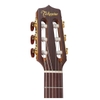 Đàn Guitar Takamine TC135SC - Sản xuất tại Nhật Bản