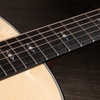 Đàn Guitar Taylor 317 Acoustic