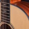 Đàn Guitar Taylor 317 Acoustic