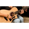 Đàn Guitar Taylor 352CE Acoustic