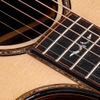 Đàn Guitar Taylor 912CE 12Fret