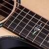 Đàn Guitar Taylor Builder's Edition 912CE