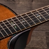 Đàn Guitar Taylor Builder's Edition 912CE WHB