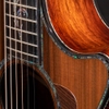 Đàn Guitar Taylor PS12CE 12Fret Honduran Rosewood