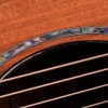 Đàn Guitar Taylor PS12CE 12Fret Honduran Rosewood