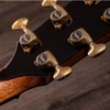 Đàn Guitar Taylor PS12CE Honduran Rosewood